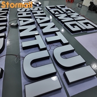 Lettres lumineuses LED 3D personnalisées pour publicité extérieure, enseignes lumineuses pour magasins et entreprises