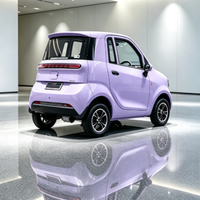 Voiture électrique urbaine homologuée en Europe avec certification EEC COC CE, carrosserie compacte, maniabilité et stationnement faciles en zone urbaine