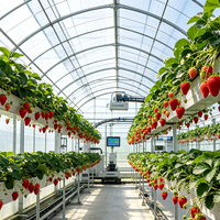 Serre commerciale multi-chapelles en verre moderne pour légumes et fleurs, avec système hydroponique pour tomates, pour le Nigeria