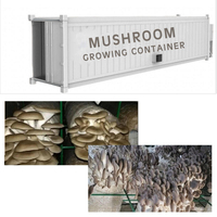 Ferme en conteneur maritime avec système hydroponique vertical, moteur et pompe pour la culture écologique de légumes et de champignons