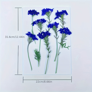 Tiges de <span class=keywords><strong>verveine</strong></span> séchées longue durée avec fleurs pressées pour moules à résine, décoration intérieure et cadeaux de fête des Mères - Product Image 2
