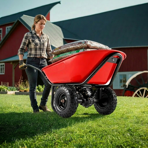 Brouette électrique TAYO EWD260, plateau 100L, moteur 350W, capacité de charge 260kg, double roues, usage intensif - Product Image 1