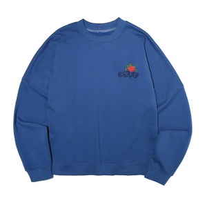 [OGARP] [PRODUIT CORÉEN] Sweat-shirt à col montant et dos croisé avec imprimé vintage tissé, bleu, coupe classique, 430g - Product Image 1