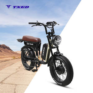 TXED Especial 48V/500W Motor de cubo delantero y trasero E Motocicleta Bicicleta Fat Tire 7 Speed Motocicleta Estilo Bicicleta eléctrica - Product Image 1
