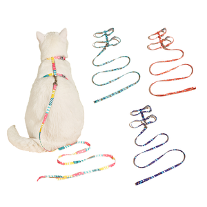 Conjunto de Arnés para Perro Acolchado de Neopreno Cómodo - Correa Ajustable Ecológica con Estampado de Sublimación en Bloques de Color - Product Image 1