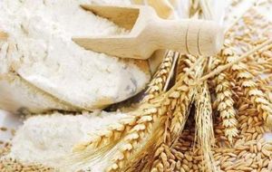 <span class=keywords><strong>Amidon</strong></span> <span class=keywords><strong>de</strong></span> <span class=keywords><strong>blé</strong></span> <span class=keywords><strong>de</strong></span> haute qualité avec un prix adapté et vente directe d'usine <span class=keywords><strong>de</strong></span> matières premières <span class=keywords><strong>de</strong></span> haute qualité - Product Image 5