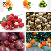 Automatische 304 roestvrijstalen fruit- en groentesorteermachine met capaciteit van 1200 kg/uur voor aardappelen ALLWIN AWFX-60