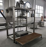 Complete automatische NFC rauwe gemengde mangosap productielijn fabriek