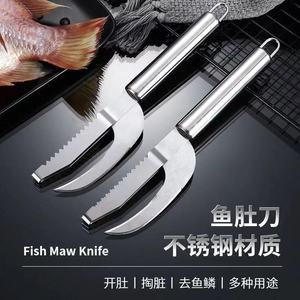 Cuchillo para abrir el vientre del pescado de acero inoxidable, herramienta multiusos de 23 cm para preparar mariscos - Product Image 2