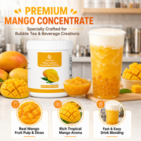 Fournisseur de Bubble Tea, Usine Source, Marque Internationale Dayou, Concentré aromatisé à la mangue de 1,2 kg avec pulpe pour les magasins de thé au lait