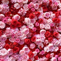 Mur de fleurs artificielles sur mesure, résistant à la décoloration, 3D, fond de mur en rose rouge, tissu de soie, enroulable