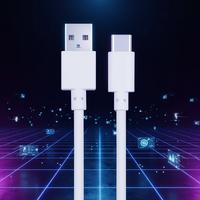 Câble de charge rapide USB Type-C pour téléphone iOS, longueur personnalisée, connecteur USB C, gaine TPE/PVC, écouteurs, fabrication OEM&ODM