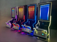 Armoire en métal de prix usine moniteur vertical de 32 pouces avec la machine de jeu de compétence à jetons de foudre