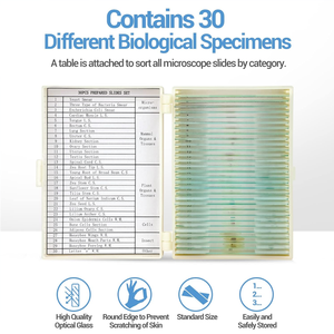 Lames de microscope populaires pour l'enseignement médical, 100 types de préparations d'histologie humaine - Product Image 5