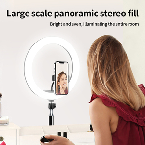 Mj26 Xách Tay 10-Inch RGB LED Vòng Ánh Sáng Thay Đổi Độ Sáng Điền Vào Ánh Sáng Cho <span class=keywords><strong>Video</strong></span> Nhiếp Ảnh Trang Điểm & Điện Thoại Với Tripod Đứng - Product Image 3