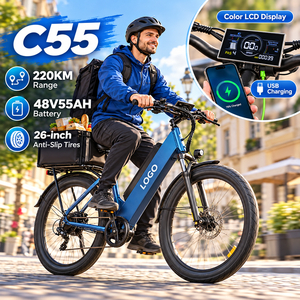 Bicicleta Eléctrica de Carga C55, Batería de 48V 55Ah, Alcance de 220 km, Llantas de 26 Pulgadas, Pantalla LCD a Color - Product Image 1