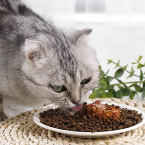 OEM vendita calda cibo umido per gatti ad alto contenuto proteico pesce <span class=keywords><strong>marino</strong></span> in scatola tratta nutriente Snack per animali domestici - Product Image 3
