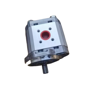1802019 WP09A1B060R03BA121N Hydraulic <b>Gear</b> <b>Pump</b> WP300B WP03B WP09A WP15A WP12A Series Special <b>Gear</b> <b>Pump</b> for - Product Image 3