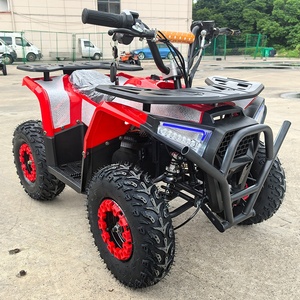 <span class=keywords><strong>Quad</strong></span> électrique tout-terrain 48V 1000W avec freins à disque avant et arrière, transmission par arbre – <span class=keywords><strong>Meilleur</strong></span> prix, Offre Spéciale - Product Image 3