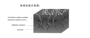 Revêtement imperméable cristallin capillaire cimentaire CCCW, peinture pénétrante en microciment <span class=keywords><strong>pour</strong></span> piscine et étang - Product Image 6