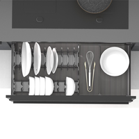 ARTSTEEL Panier coulissant multifonction moderne à 2 niveaux pour ustensiles de cuisine, rangement de cuisine, gain de place, tiroir coulissant durable