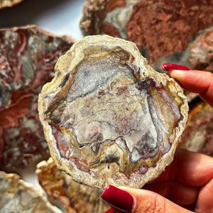 Nouvelle Tendance : Sous-verres en bois pétrifié de taille irrégulière, pierres naturelles et cristaux pour l'artisanat en cristal - Product Image 2