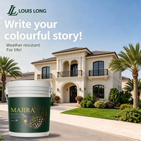 Peinture murale extérieure LOUISLONG en acrylique imperméable, résistante aux UV, membrane liquide d'étanchéité pour toiture, application au pinceau