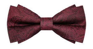 เนคไทโบว์ผูกแบบเกาหลีสำหรับสุภาพบุรุษ ชุดทางการสไตล์อังกฤษ สำหรับเพื่อนเจ้าบ่าว งานแต่งงาน กลุ่มพี่น้อง ชุดลำลอง - Product Image 5