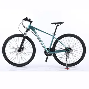 Bicicleta de Montaña de 24 velocidades, alta calidad y buen precio, personalizada, mtb Fame 29, 2022