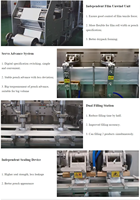 Machine d'emballage ACEPACK pour sachets à bec verseur, jus, sauces, détergents, remplissage et bouchage de sachets stand-up, personnalisable