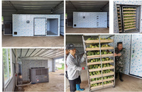Deshidratador Industrial de Aire Caliente de Alta Eficiencia Energética para Verduras y Frutas, Cámara de Secado para Cebolla, Ajo, Mango y Pimiento