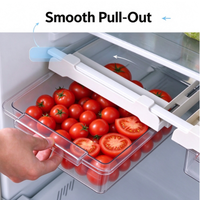 Boîte de rangement alimentaire en plastique, compatible réfrigérateur, avec design suspendu, pour le stockage des légumes, des fruits et des viandes