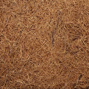 Fibra de coco natural de alta calidad para colchones, cepillos, cuerdas, esteras para cultivo, fibra de coco para mantillo, venta al por mayor de La India - Product Image 1