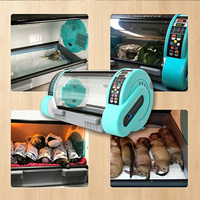 Incubadora Veterinaria para Mascotas, Cabina de Cuidados Intensivos, 95% de Oxígeno, Preservación Automática del Calor, Nebulizador Portátil Reutilizable para el Cuidado de Perros y Gatos