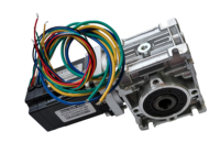 Nouvelle technologie Durable métal engrenage à vis sans fin 24v 36v 48v 250w 3000 tr/min haute puissance 24V moteur à engrenages à courant continu sans balais avec engrenage à vis sans fin