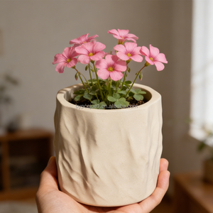 Mini <span class=keywords><strong>pot</strong></span> <span class=keywords><strong>en</strong></span> béton texturé effet froissé Wabi-Sabi fait main, couleur et logo personnalisables, pour succulentes et oxalis de bureau - Product Image 1