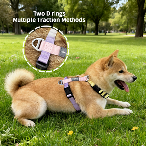 Moda mezcla de colores y monocromático cuello ajustable arnés para Perros Venta al por mayor DIY Multicolor Color Match H en forma de poliéster <span class=keywords><strong>perro</strong></span> chaleco - Product Image 3