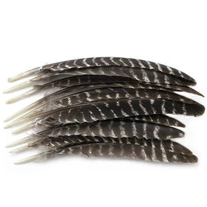 Plumes d'aile de dinde pour décoration (pas de taches, de coupures, de pièces manquantes) - Product Image 1