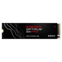 SANDISK Optimus GX PRO 850P NVMe SSD Konsol 1TB-8TB