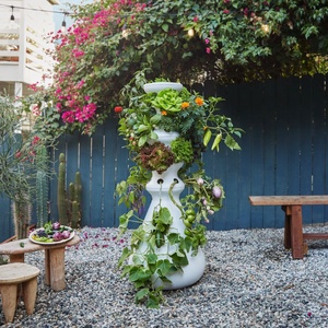 Grande serre de jardin hydroponique originale avec cadre en plastique Boîte de culture anti-pourriture pour salle de culture intérieure - Product Image 4