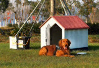 Bangke Usine En Gros Sunproof Et Imperméable Multifonctionnel Grand Chien Maison