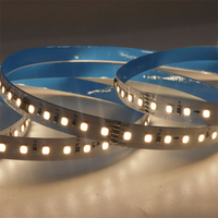 Bande LED Flexible DMX Adressable et Programmable USB SK6812 DC24V SMD2835 CCT Couleur Personnalisée Blanc Rétroéclairé IP67 pour Aménagement Paysager