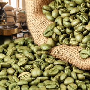 เมล็ดกาแฟอาราบิก้าคั่วระดับกลางแบบ100% พิเศษจากประเทศไทย - Product Image 3