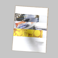 Papier d'art personnalisé à deux plis Utilisation de l'entreprise Présentation Dossier Papier Pamphlet