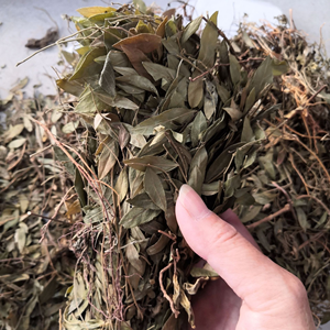 Plantes médicinales chinoises Gua Zi Jin, Herba Polygalae Sibiricae brute, <span class=keywords><strong>épices</strong></span> de haute qualité pour <span class=keywords><strong>la</strong></span> diététique - Product Image 6