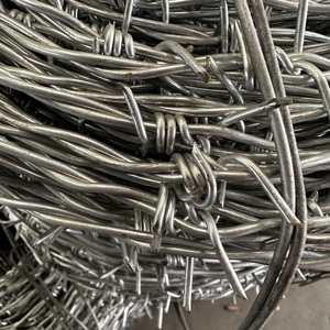 Thép mạ kẽm dây thép gai lưới 2 điểm cuộn dây huacheng thương hiệu Trung Quốc - Product Image 5