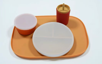 Vaisselle pour tout-petits en silicone de qualité alimentaire, base magnétique, ensemble d'alimentation pour bébé, ustensiles, assiette à compartiments, bol, tasse à paille avec couvercles de rangement