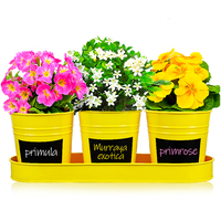 Fournitures de jardinage peintes 3PCS Mini pots de fleurs et jardinière de couleur vive avec plateau en métal Autocollant noir Écrire des mots Seau succulent