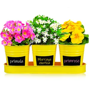 Mini vaso e plantador de flores com bandeja metálica, suculento adesivo preto para jardim, 3 peças