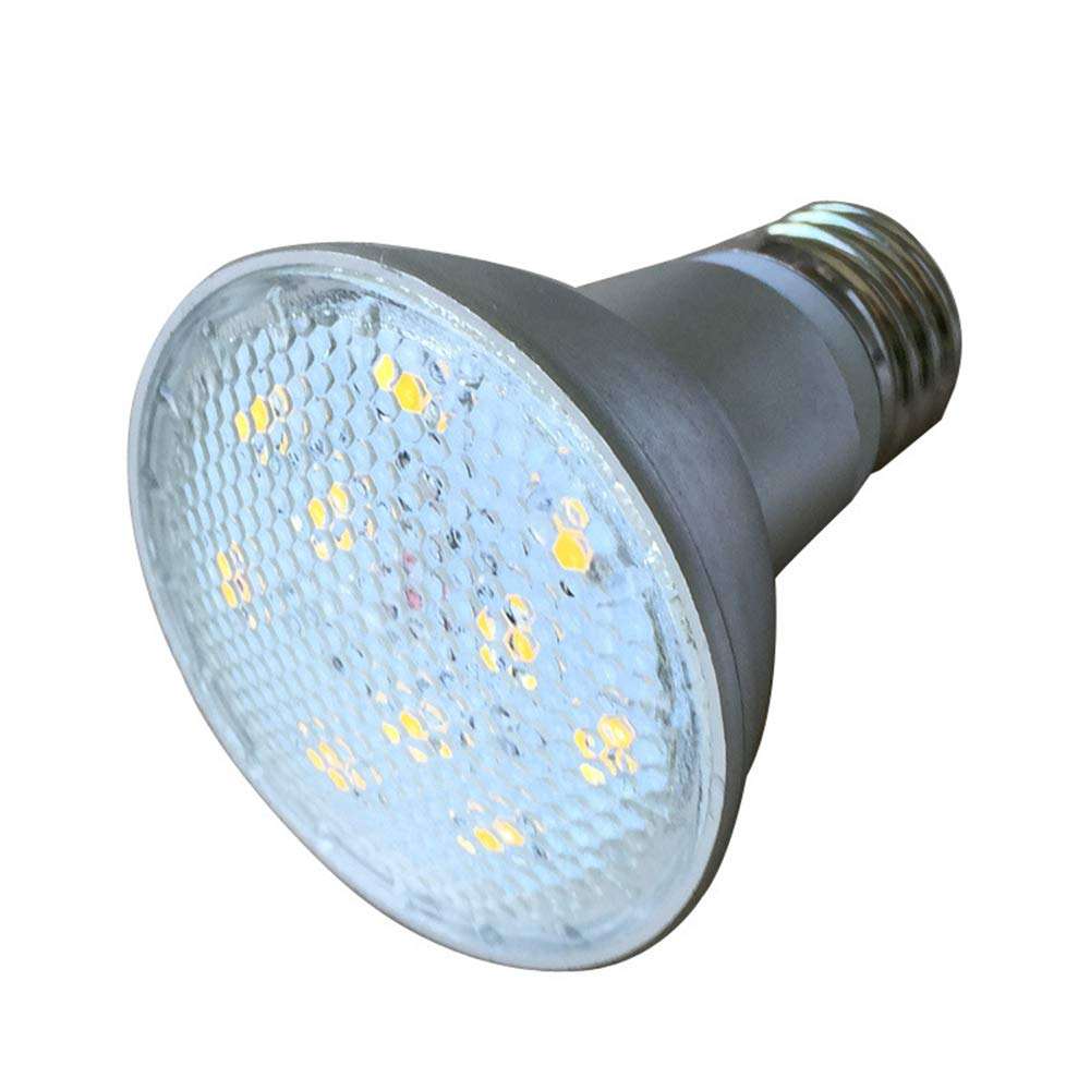 Warm White (2700~3200K)